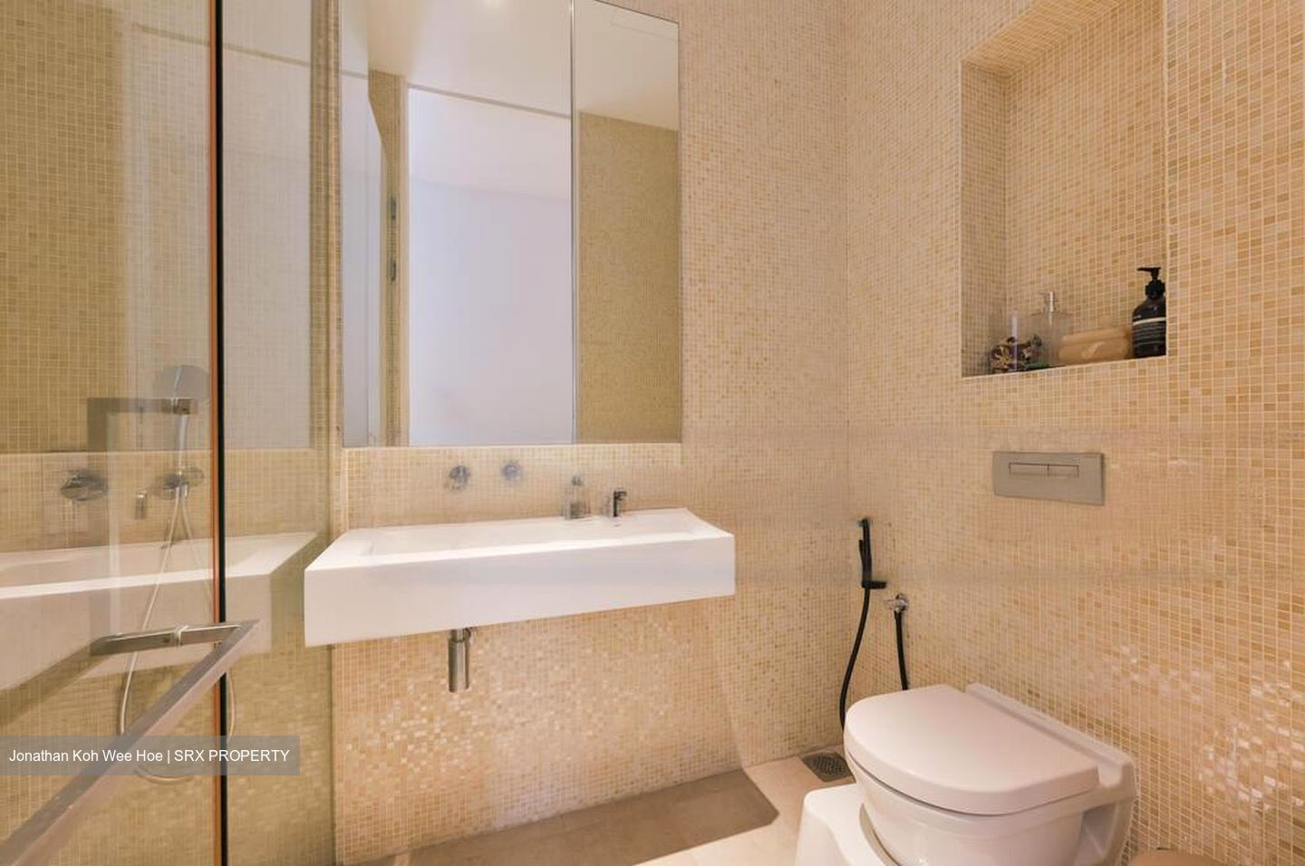 Toh Estate (D17), Semi-Detached #486945541